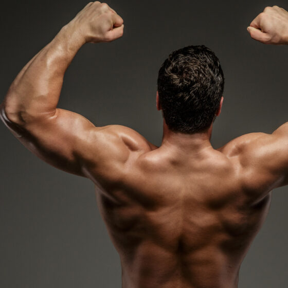 Körperregionen Wirbelsäulen­arthrose - Facetten­gelenks­arthrose - Torso